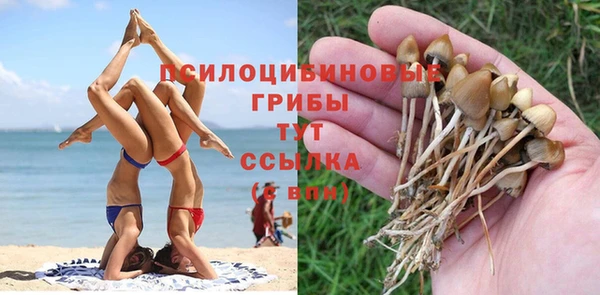 ECSTASY Алексин